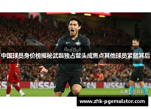 中国球员身价榜揭秘武磊独占鳌头成焦点其他球员紧随其后