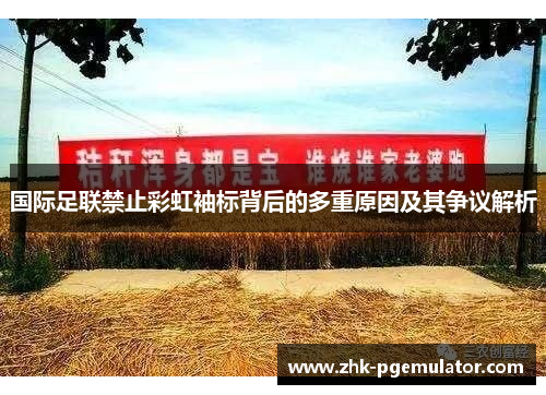 国际足联禁止彩虹袖标背后的多重原因及其争议解析