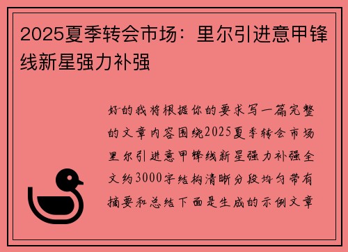 2025夏季转会市场：里尔引进意甲锋线新星强力补强