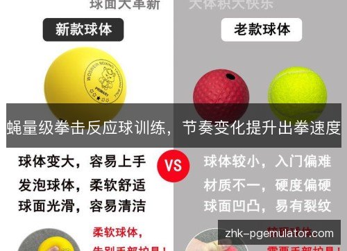 蝇量级拳击反应球训练，节奏变化提升出拳速度
